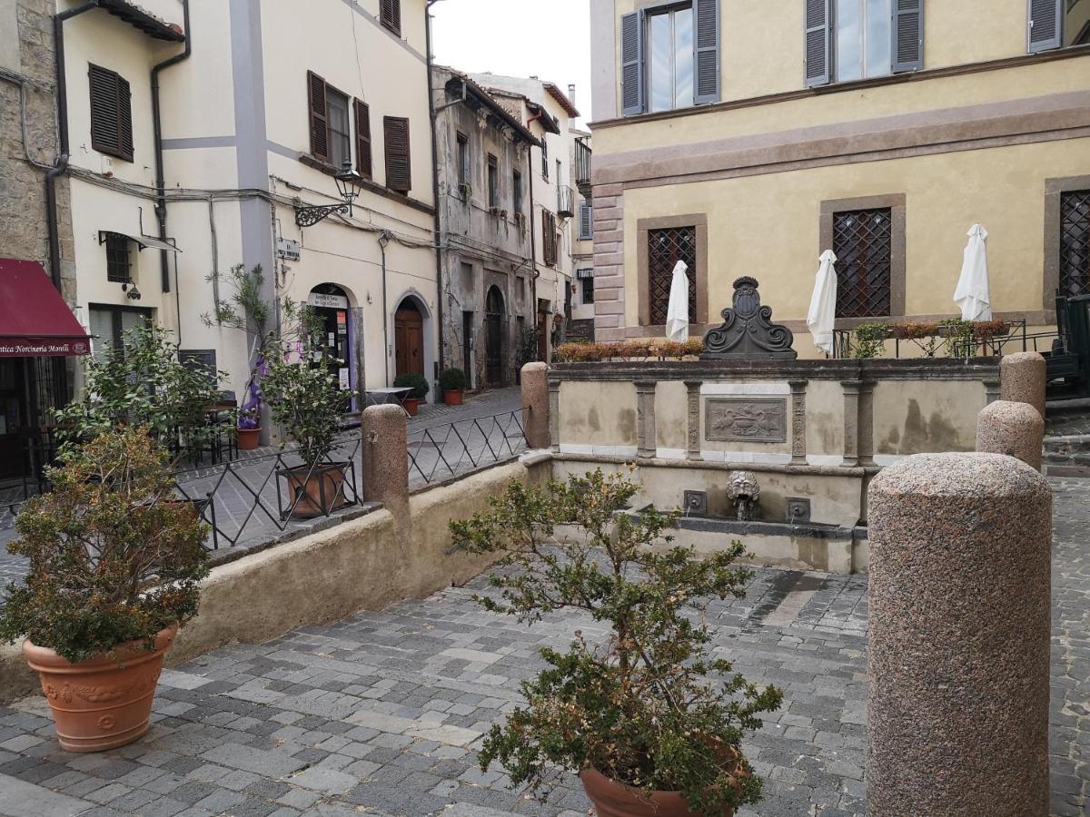 Appartamento Miralago 볼세나 외부 사진