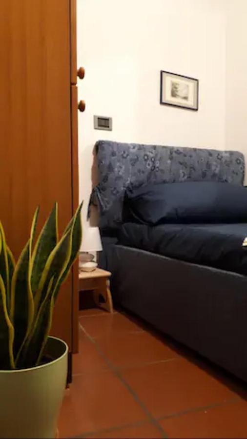 Appartamento Miralago 볼세나 외부 사진